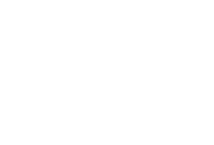 Vultra Logo